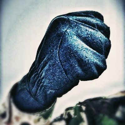 XU02593515's profile picture