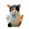森总's profile picture