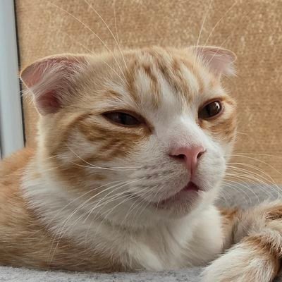 Phakchira_e's profile picture