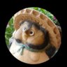 あうあ's profile picture