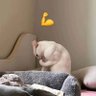 bing's profile picture