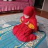 Mahmut Dinc profil fotoğrafı
