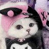 Darin_02546 的头像