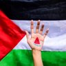 Sara albarghouthi's profile picture