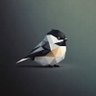 Lehuy Vo🔸 profil fotoğrafı
