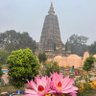 Фото профиля Anurag Pal