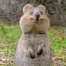 ゆの 的头像
