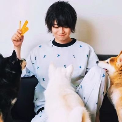アニマルハウスユーキ(森田優基)'s profile picture