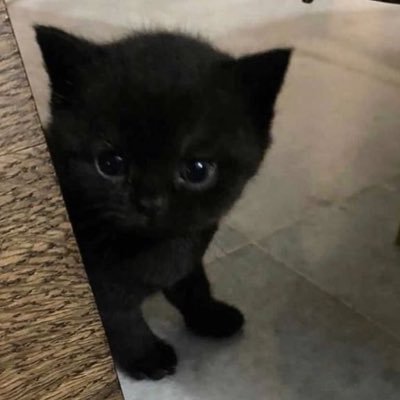 fuelmylov's profile picture