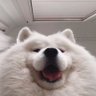 Profilbild von muphat