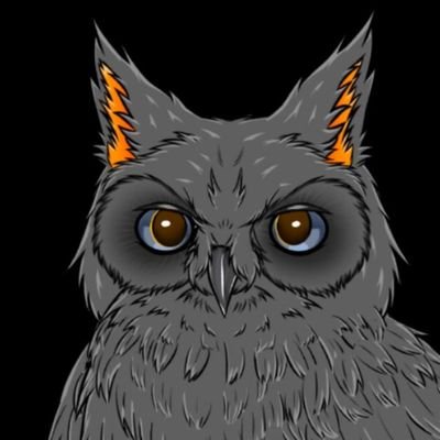 mr_shevanim's profile picture