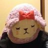 チャメゴン's profile picture