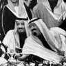 Profilbild von 🐨