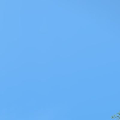 ailout2's profile picture