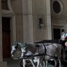 Фото профиля Mariyyah …