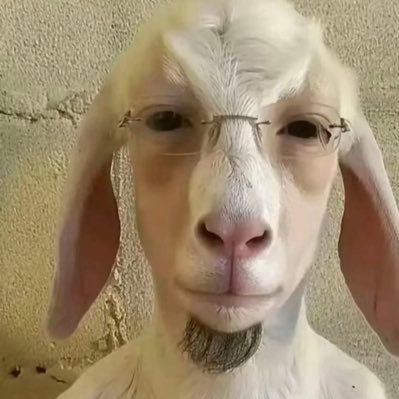 oumouam_77's profile picture