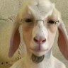 ty sykes profil fotoğrafı