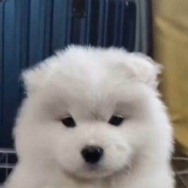 j.'s profile picture