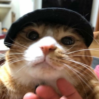 mimi 🚬 🔶 ♱'s profile picture