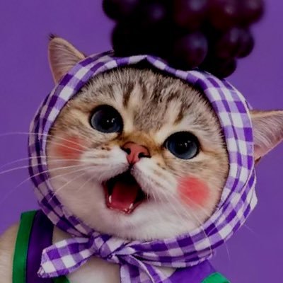 Nongmookmuay26's profile picture