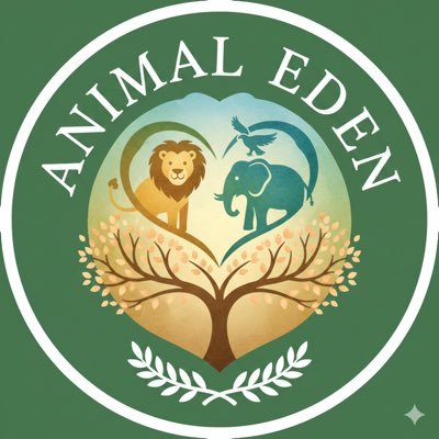 Animal Eden's profile picture
