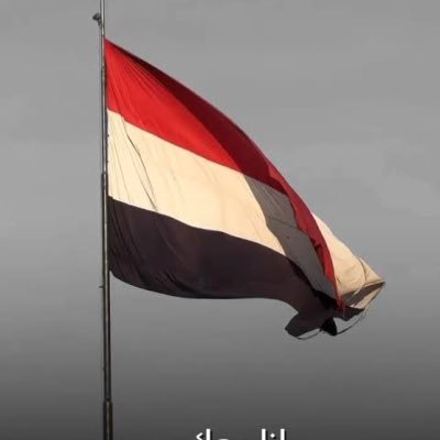 ابراهيم المهري's profile picture
