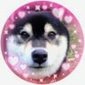 のりこ profil fotoğrafı