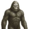 Sasquatch Lives 的头像