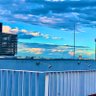 Amia🎓 Reverb🗼 profil fotoğrafı