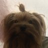 arantxa's profile picture