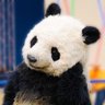 Profilbild von 一般B