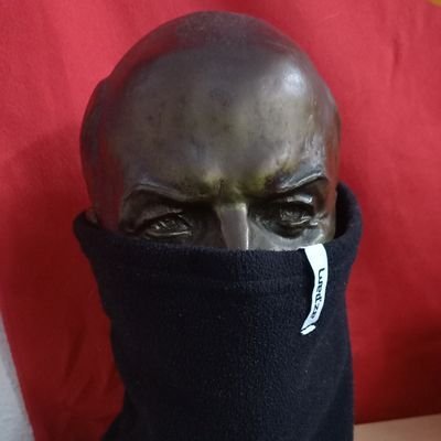Tomás's profile picture