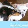 たま profil fotoğrafı