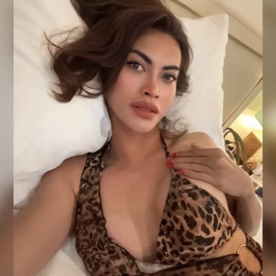 TSVania JKT🇮🇩's profile picture