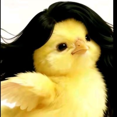 溏心鸡屎's profile picture