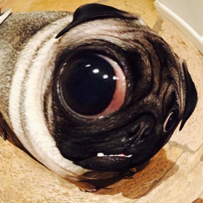 Voscy's profile picture