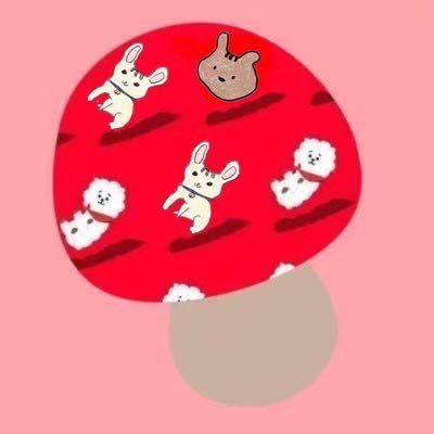 shimejihoshi's profile picture