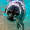 フォカエガッタ profil fotoğrafı