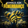 Sonsuz Fener's profile picture