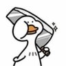 Pingu 🐧 的头像
