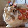 Profilbild von やまみ