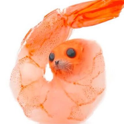 kR21Pzg's profile picture