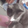 skob profil fotoğrafı