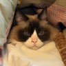 Profilbild von なすの煮びたし