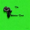 Profilbild von The Alkebulan Trust