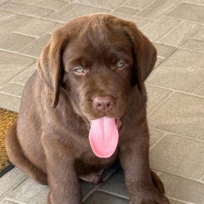 NCY_ssssu's profile picture