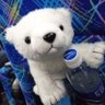 Profilbild von ホッキョクグマ🐻❄️