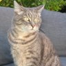 Profilbild von Polfi