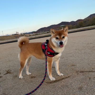 テツ's profile picture