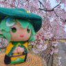 なんかよくわからんやつ's profile picture